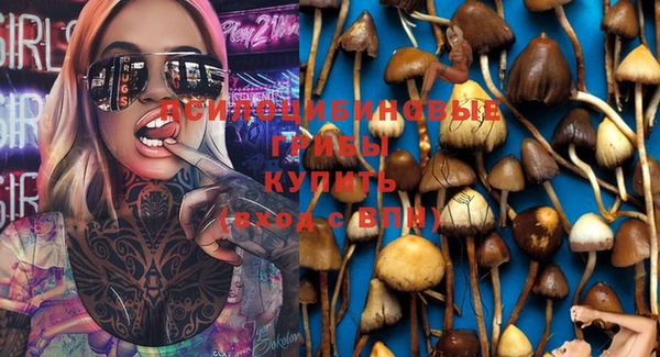 индика Алексеевка