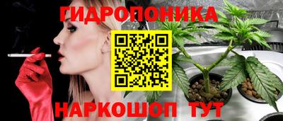 a pvp Малгобек