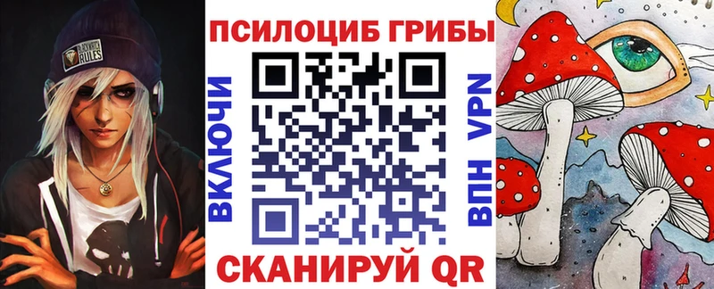 Псилоцибиновые грибы Psilocybine cubensis  Осинники 