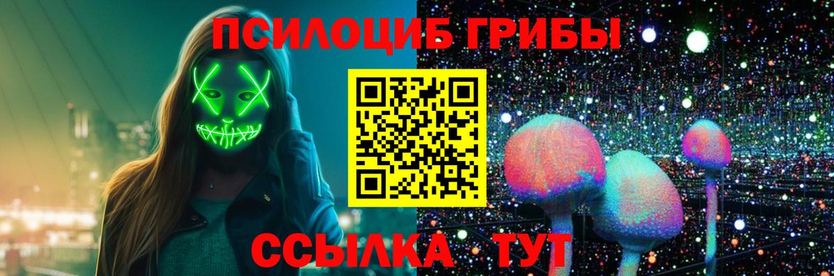 Псилоцибиновые грибы Cubensis  Вход с VPN  где можно купить   Осинники 