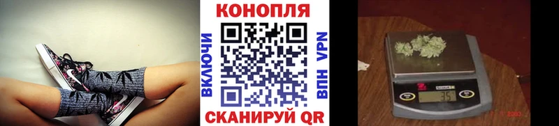 наркота  Осинники  Канабис Amnesia 